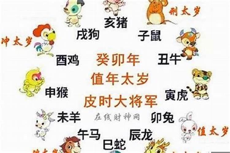 本命年最倒霉的生肖女是什么