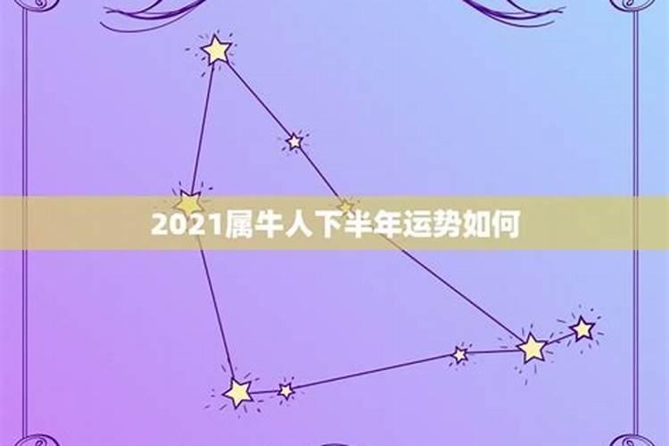 95猪年2021年运势及运程