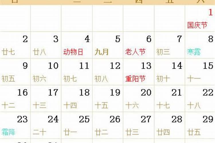 生肖马今年运势2021