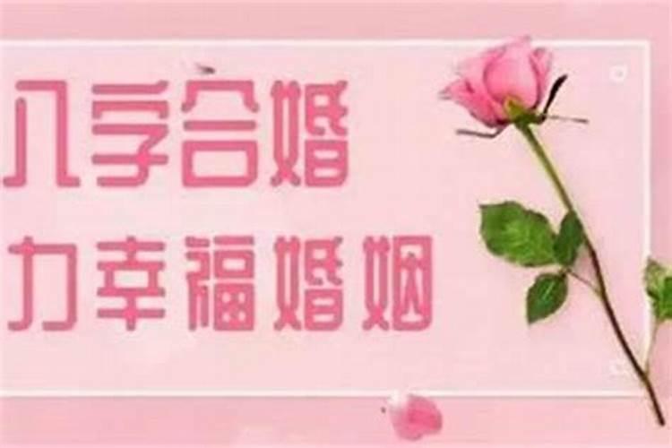 2000年属龙的婚配什么属相最好婚姻