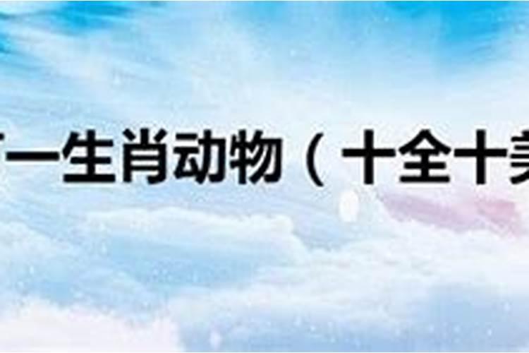 雪上加霜是小人的生肖嘛为什么