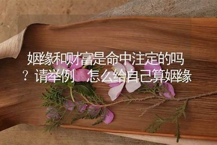 八字有食劫伤什么意思