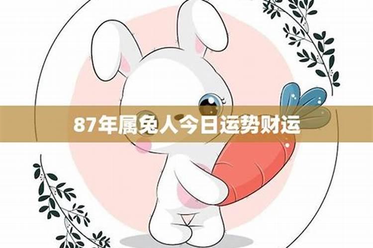 属兔今日运势财运87年女孩