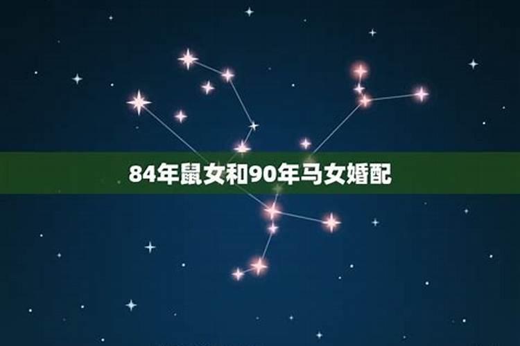 2024年今年属狗的运势如何