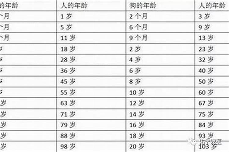 今年本命年是多大年龄