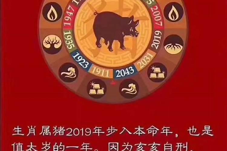 2019年犯太岁最严重的属相是什么