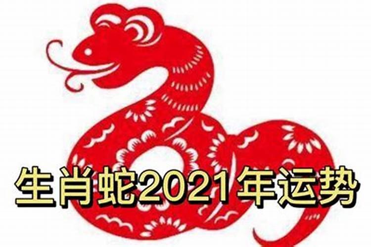 生肖蛇2021年运势大全男