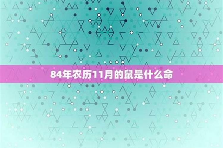 04属猴人2021年运势运程每月运程