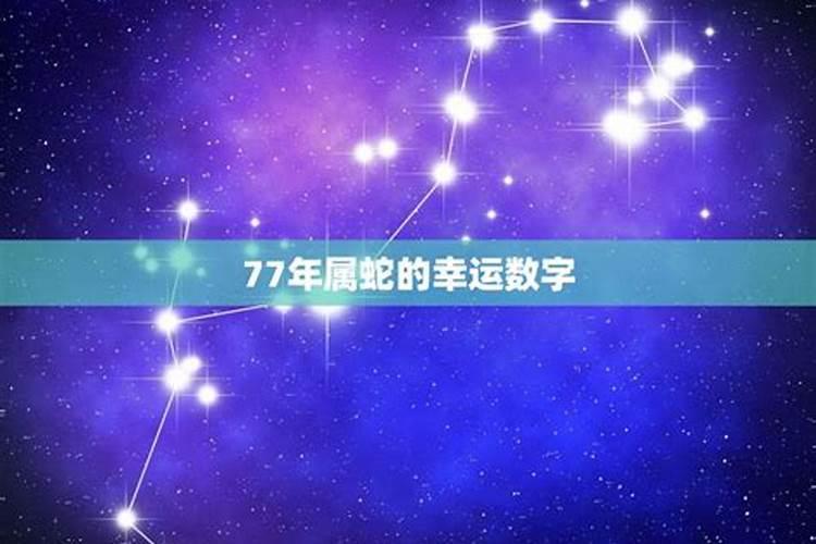 77年属蛇的幸运数字男