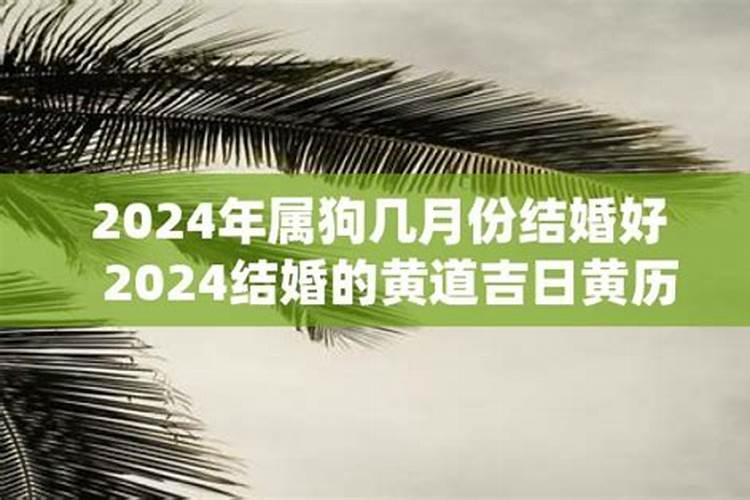 属狗的在几月份结婚最佳答案