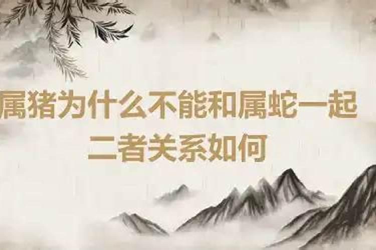 属猪的可以和属蛇的结婚吗