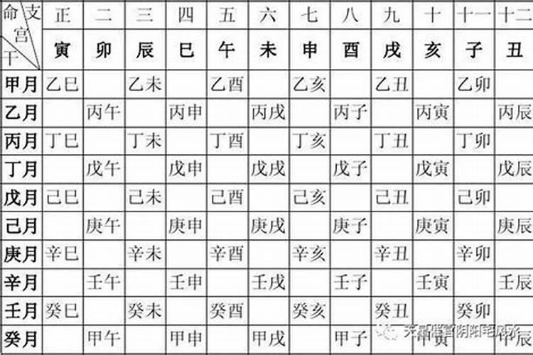 完整的八字