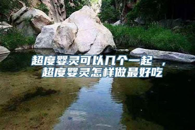 梦见黑狗是怎么回事儿