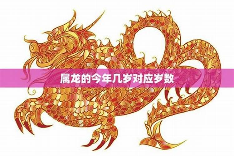 属龙今年几岁12月24生日