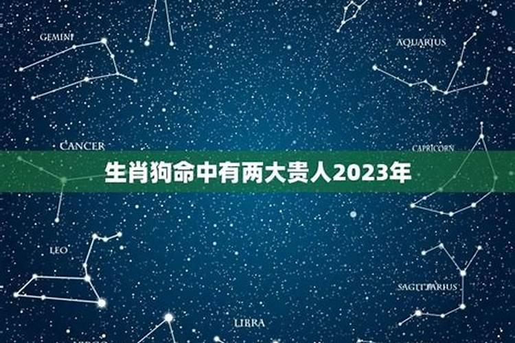 猪年运程2023生肖年运程