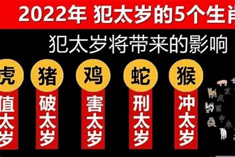 属马人2022犯太岁吗