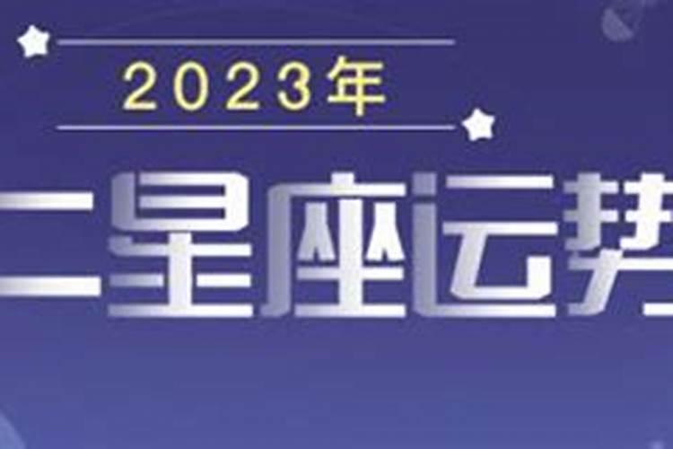 12星座运势2023年运势