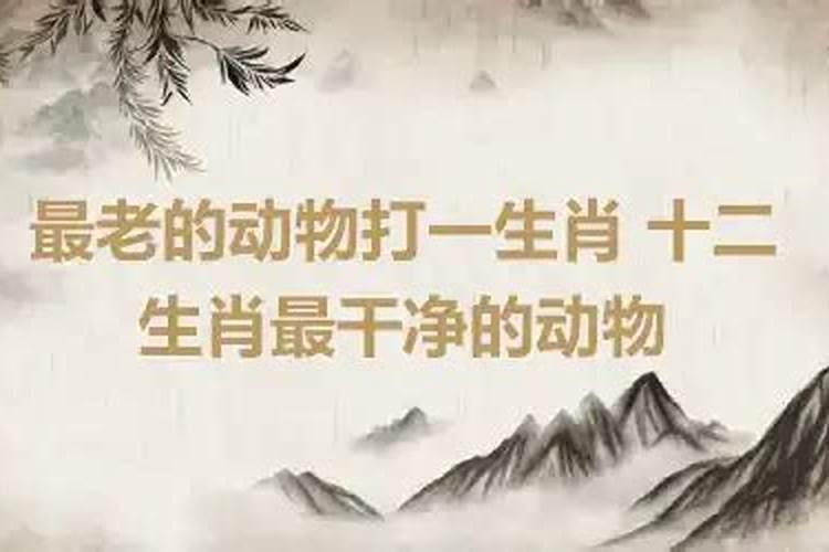 八字算命怎么推算呢