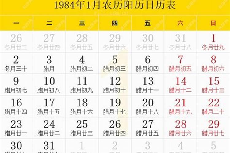 蛇人2024年运程与健康