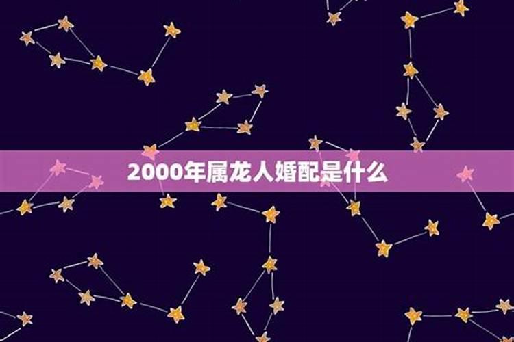 2000年属龙人婚配属相