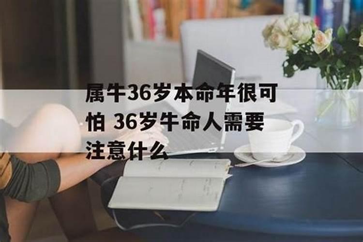 2023年立春生肖禁忌