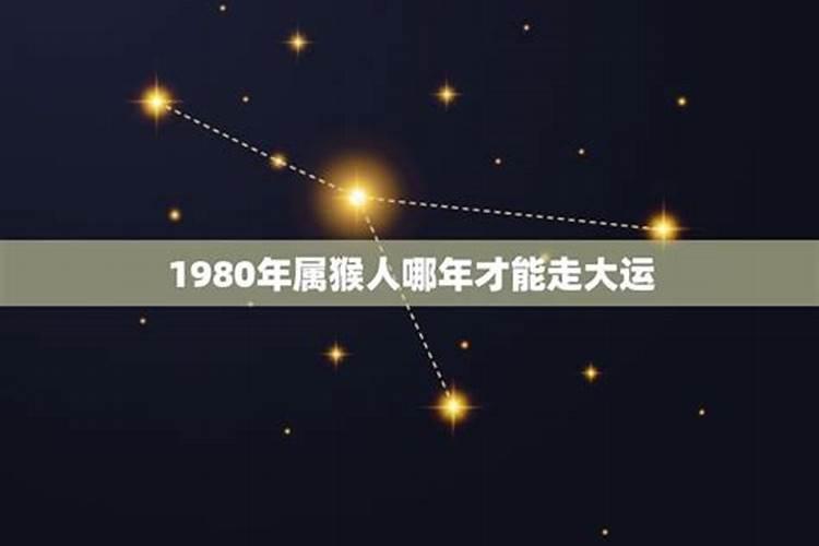 1980年生肖猴2021年运势大全