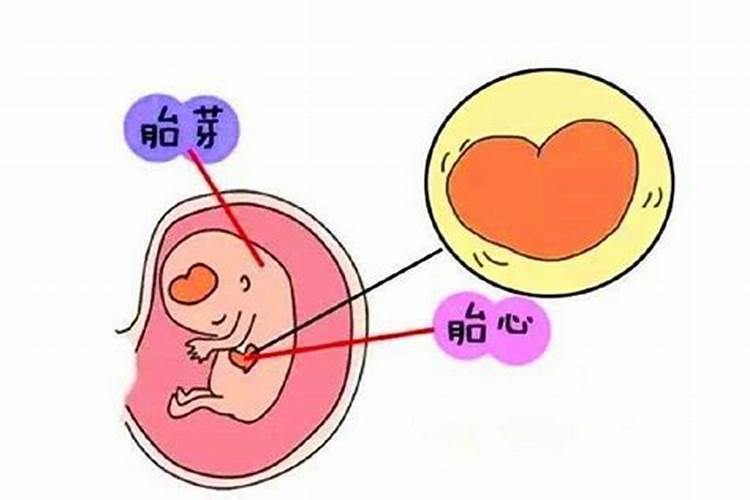 属虎2024年9月运势如何