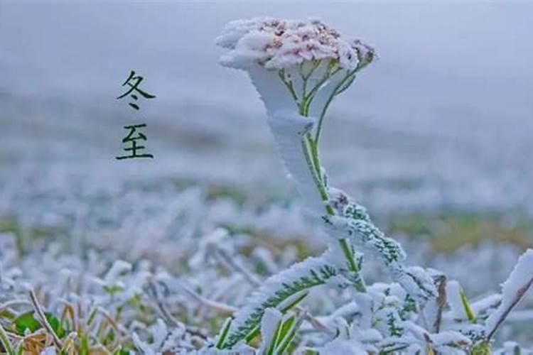 梦到朋友死去自己大哭一场