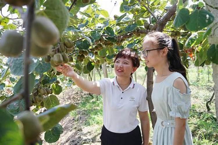 备孕期间梦见自己生了一个女儿