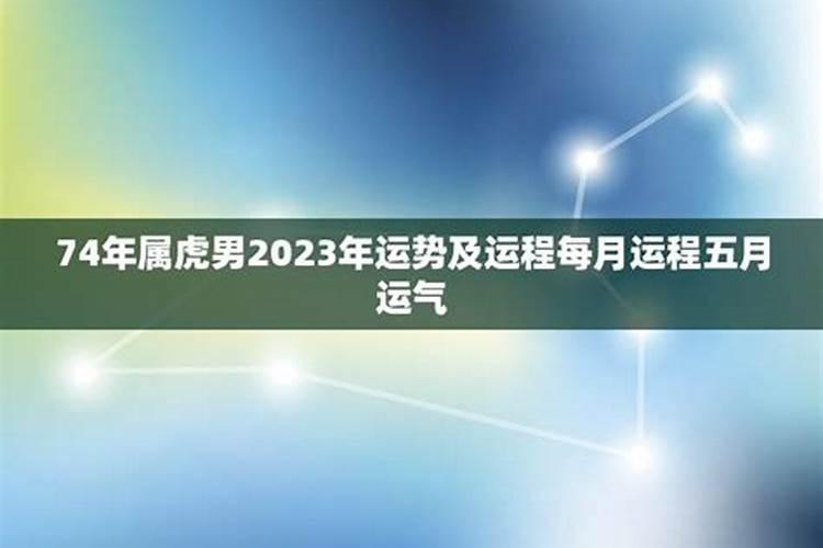 虎2021年每月运势完整版