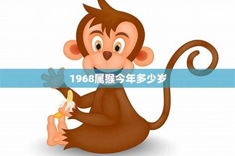 属猴的今年多少岁年龄最大