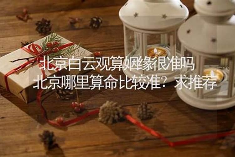 属鼠今年每个月的运势