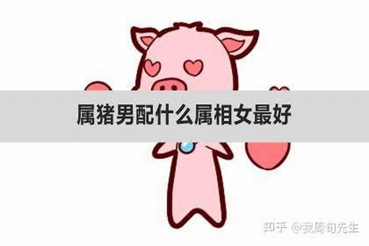 生肖猪男婚配什么生肖女最好