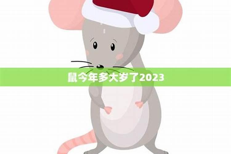 属鼠今年多少岁2022