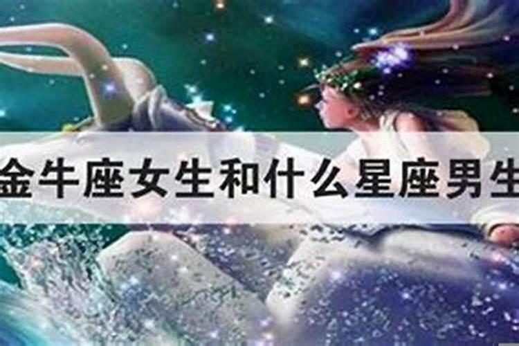 金牛座和处女座适合结婚吗