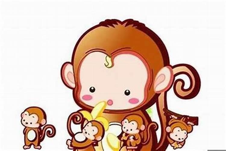 属猴和属猴人婚姻怎么样