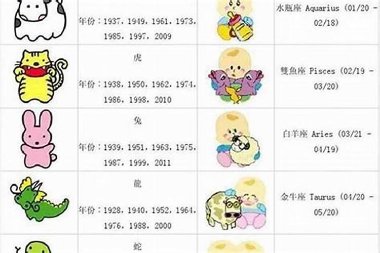 属龙2024年周岁是多大