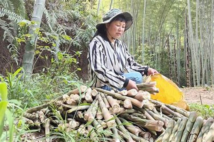 属龙怎么化解破太岁