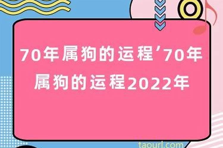 78年属马人下半年的运气