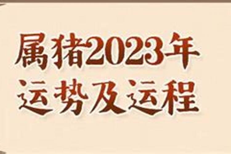 2023属猪人全年运势1987