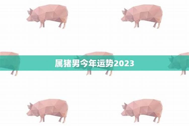 58属狗的2024年运势如何