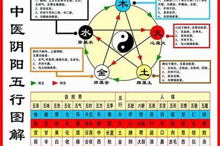 怎样算命里五行属什么