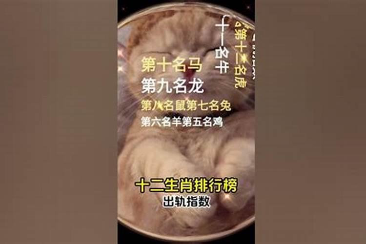 12生肖女出轨排列