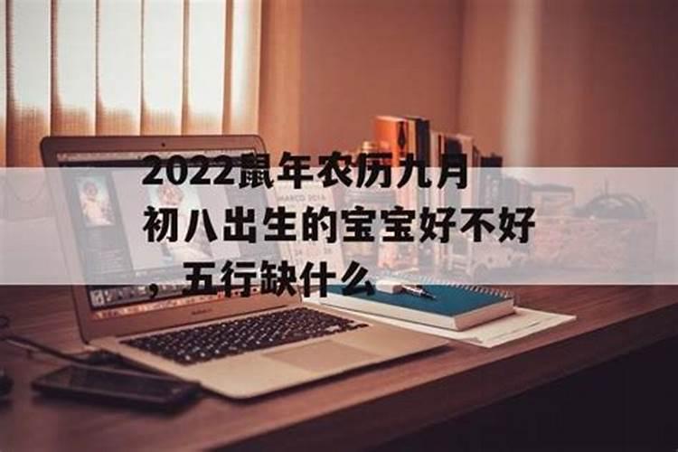 2022年正月初八出生的宝宝