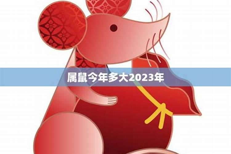 属鼠今年多大岁数2020年出生