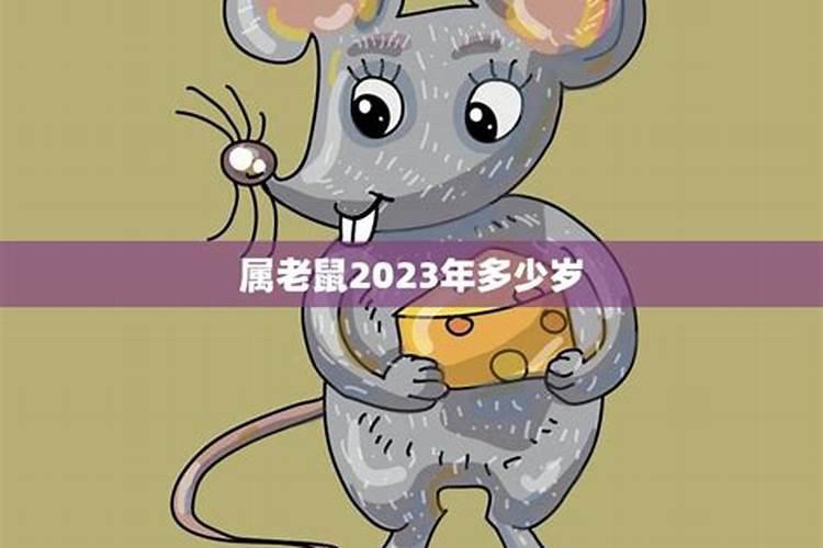 2020年生肖鼠今年几岁