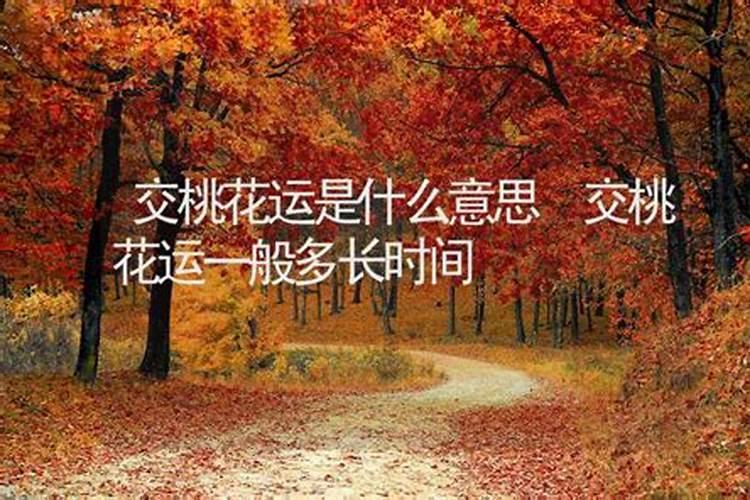 桃花运怎么讲