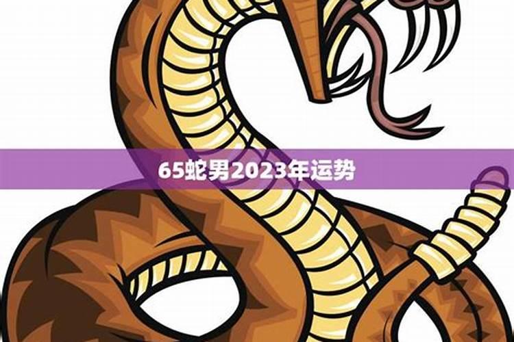 一年属蛇男2023年运程怎样