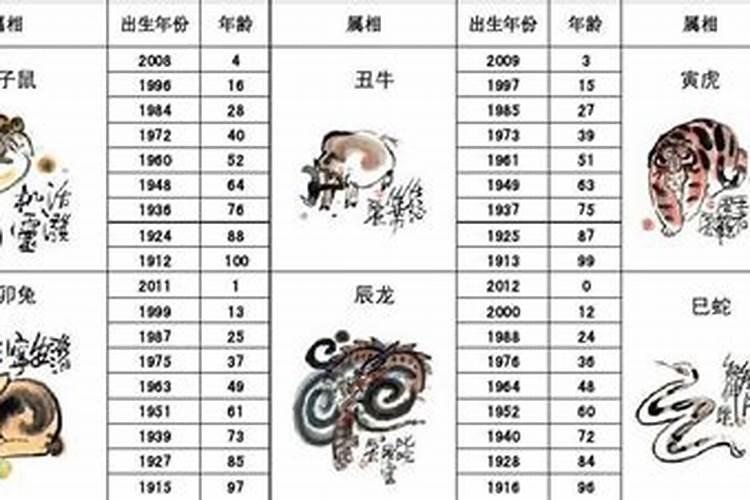 今年八岁属什么生肖