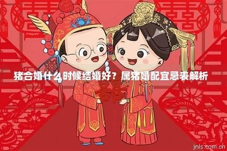 属猪啥时候结婚